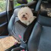 Siège Auto Compact & Sac de Transport Sécurisé pour petit chien