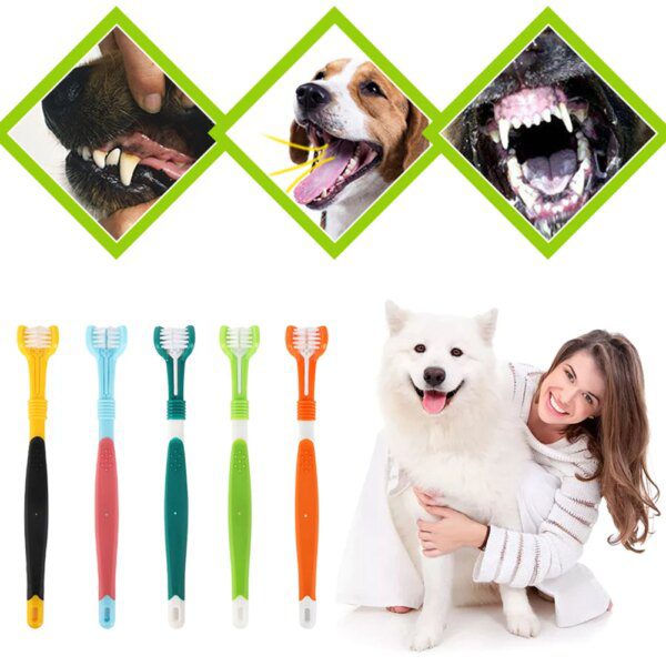 78643-533a11.jpg Brosse à Dents 3 Faces pour Chien & Chat – Nettoyage Complet 360°