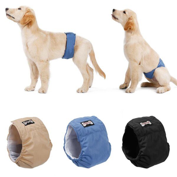 Culotte Hygiénique Réutilisable pour Chien Mâle – Protection Propre