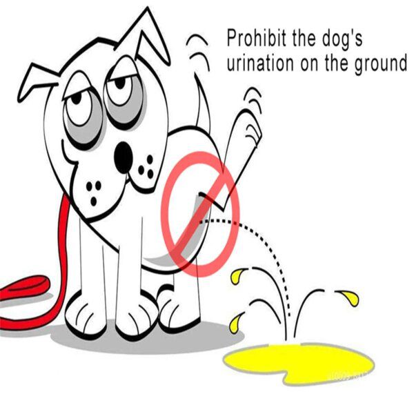 78675-5a3525.jpg Culotte Hygiénique Réutilisable pour Chien Mâle – Protection Propre