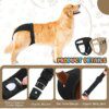 78700-70c464.jpg Culotte Hygiénique Réglable pour Chienne avec 8 Coussinets – Protection