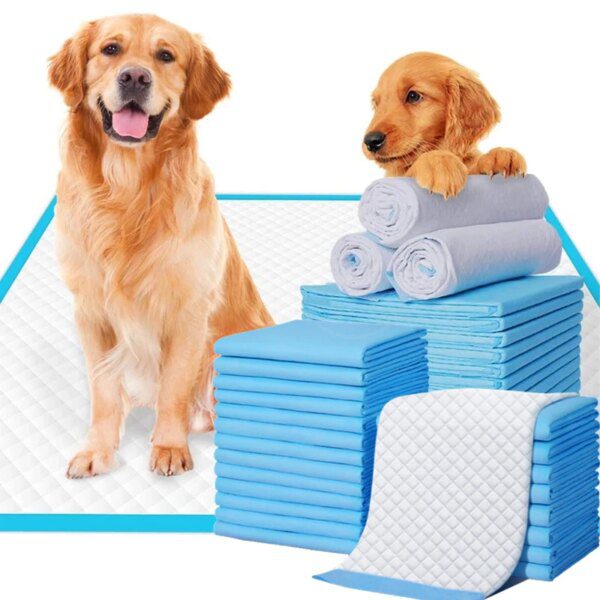 Couches Jetables Ultra-Absorbantes pour Chien & Chiot – Apprentissage Propre