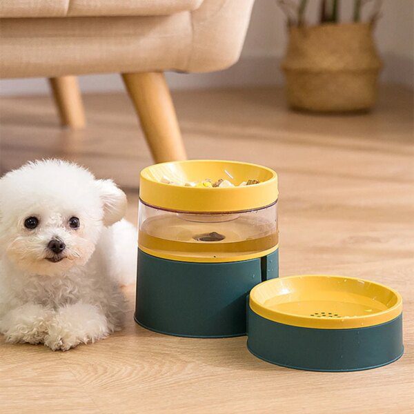 Fontaine à eau automatique & double bol d’alimentation