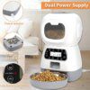 Distributeur automatique intelligent de croquettes 3,5 L avec enregistrement