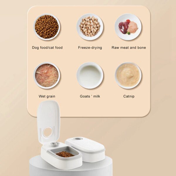 Distributeur automatique intelligent de croquettes & pâtée – Bol inox