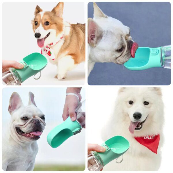 Bouteille d’eau portable pour chien – Bol intégré