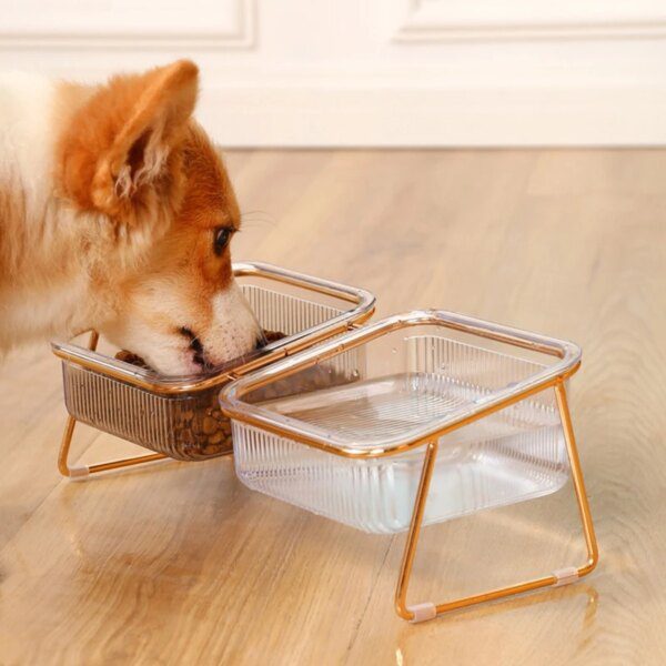Gamelle Chien & Chat Double Bol Surélevé Antidérapant – Protection
