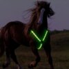 Harnais LED pour Cheval – Sécurité Nocturne
