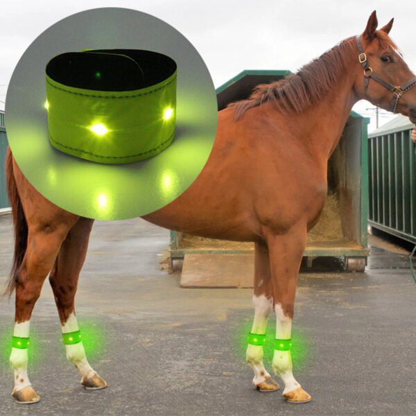jambe cheval Ceintures réglables à LED pour jambes de cheval, pour hommes, femmes et enfants