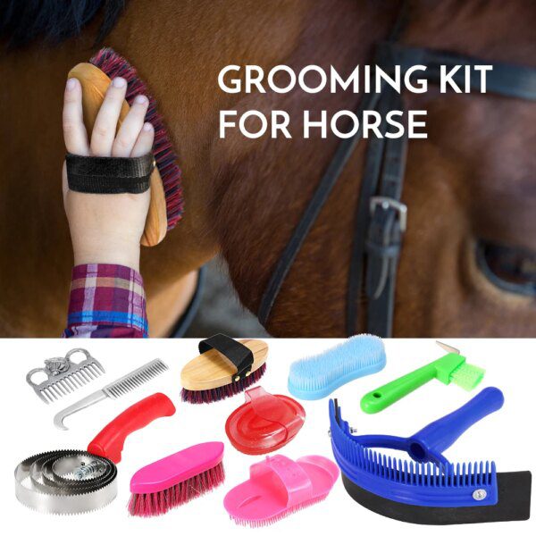 peigne cheval - Kit d'outils de toilettage pour cheval, peigne de queue de cheval