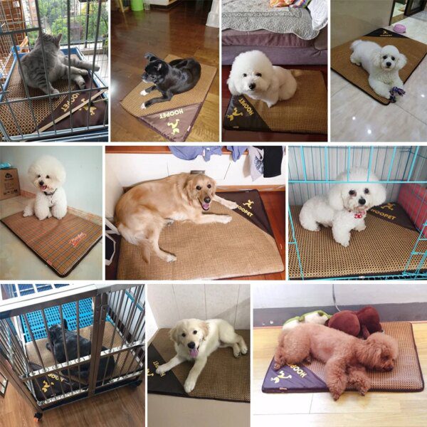 Tapis Rafraîchissant d’Été Auto-Refroidissant pour Chien & Chat