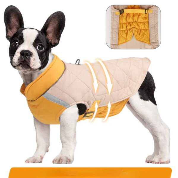 Manteau d’hiver coupe-vent chaud pour chien – Petits & moyens gabarits