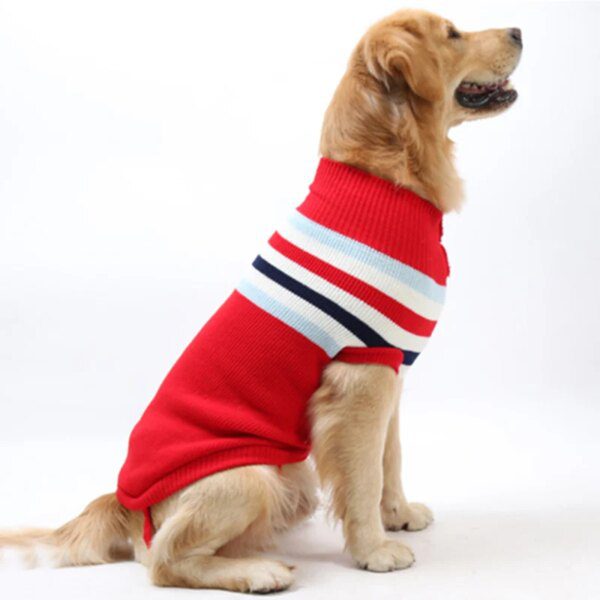 Pull d’hiver à rayures pour chien – chaleur & style
