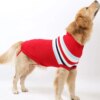 Pull d’hiver à rayures pour chien – chaleur & style