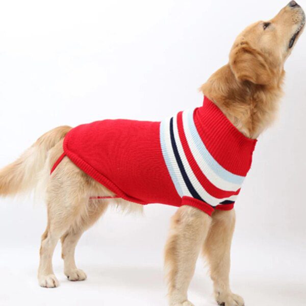 Pull d’hiver à rayures pour chien – chaleur & style