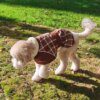 Manteau d’hiver chaud et épais pour chien – Tailles moyennes