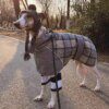 Manteau d’hiver chaud et épais pour chien – Tailles moyennes