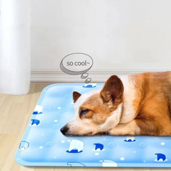 81947-d36850.jpg Tapis de Refroidissement Auto-Rafraîchissant pour Chien & Chat