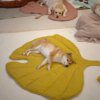 82221-c01ce0.jpg Tapis de couverture en forme de cœur, créatif, à la mode