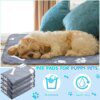 82243-9fb481.jpg Tapis de pipi réutilisable pour chien & chat – Protection propre