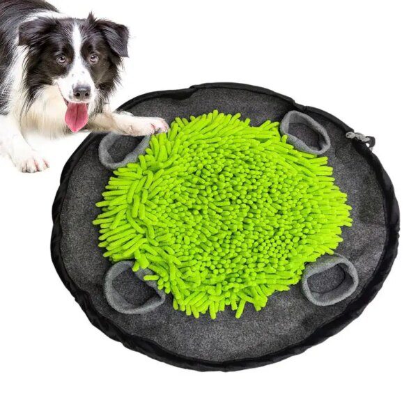 Tapis de Reniflage Interactif pour Chien & Chat