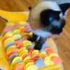 Tapis de Reniflage Interactif pour Chien & Chat