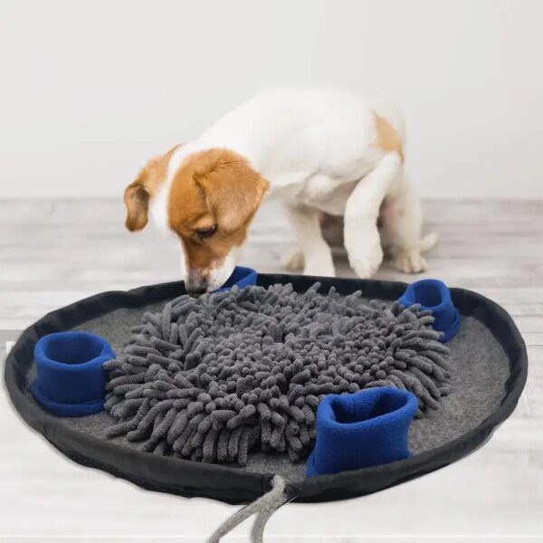 Tapis de Reniflage Interactif pour Chien & Chat