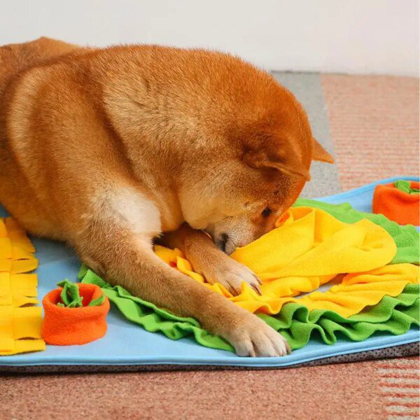 Tapis de Reniflage Interactif pour Chien & Chat