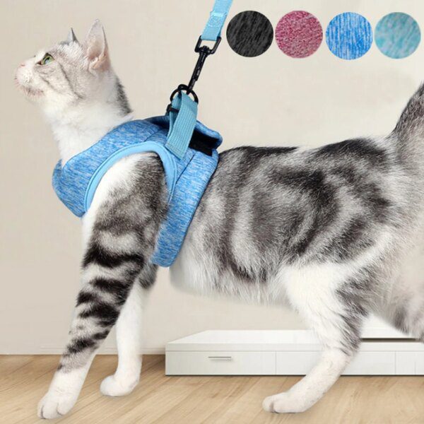 Harnais chat et laisse pour chats, gilet souple et réglable, léger, respirant et facile à contrôler
