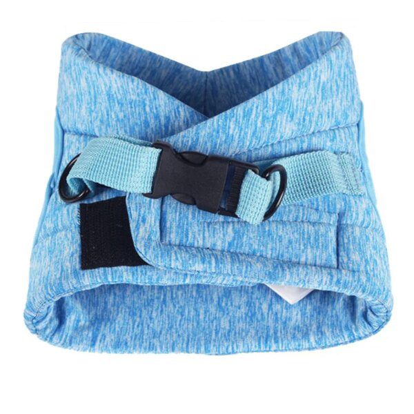 Harnais chat et laisse pour chats, gilet souple et réglable, léger, respirant et facile à contrôler