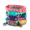 Collier Chat & Petit Chien Lot de 10