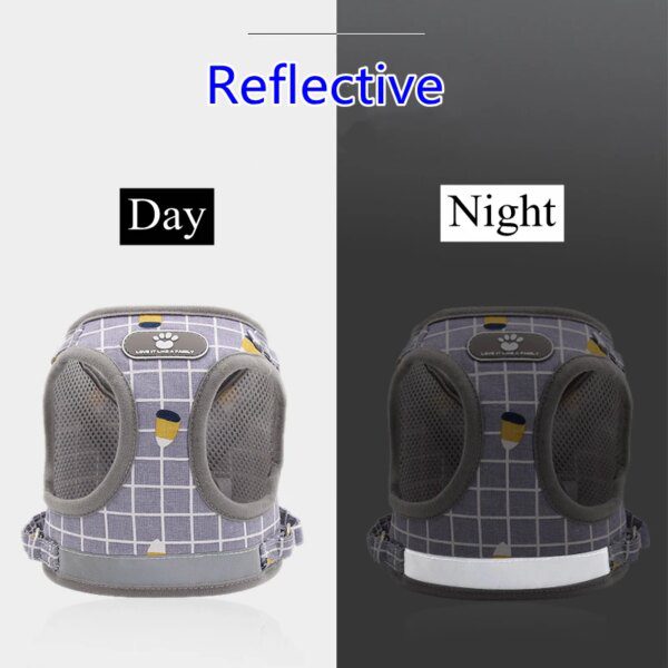 Harnais Chat & Chien avec Laisse – Gilet Respirant en Maille