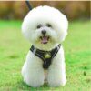 Harnais Chat & Chien en Nylon