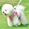 Harnais Chat & Chien en Nylon