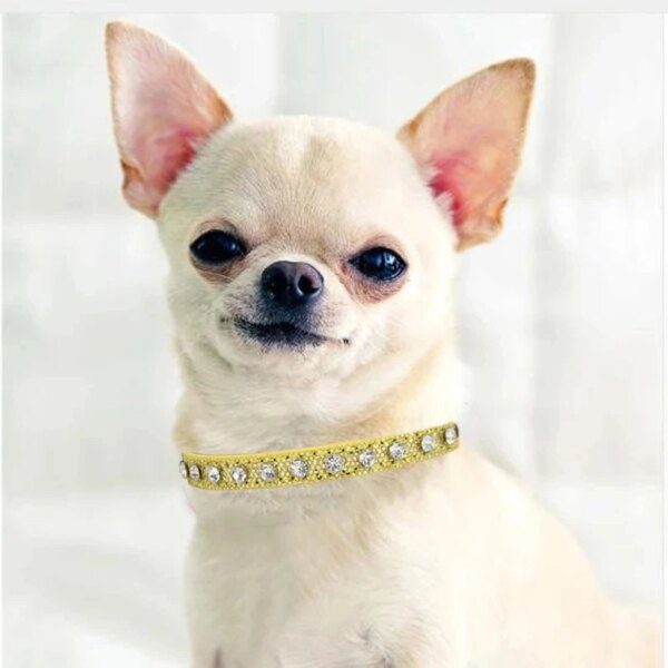 Collier Chat & Chiot Super Brillant