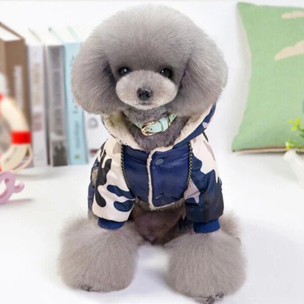 Manteau à capuche imperméable et chaud pour chien & chiot – Automne