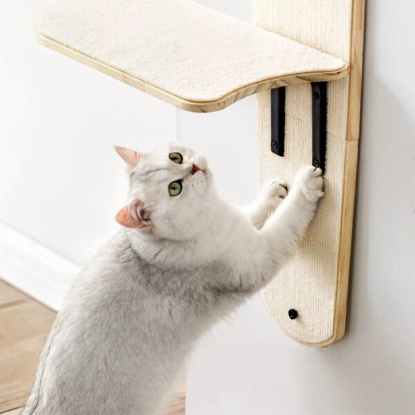 Lit suspendu & tour d’escalade pour chat – Arbre à chat vertical