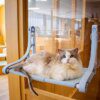 87382-b386b3.jpg 🐱 Hamac de fenêtre pour chat – Lit solaire mignon ultra-résistant