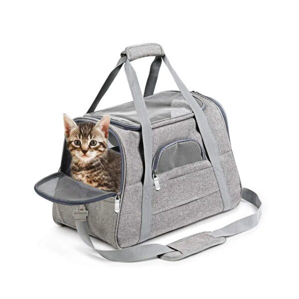Sac de transport pour chat sécurisé – Respirant, pliable & portable