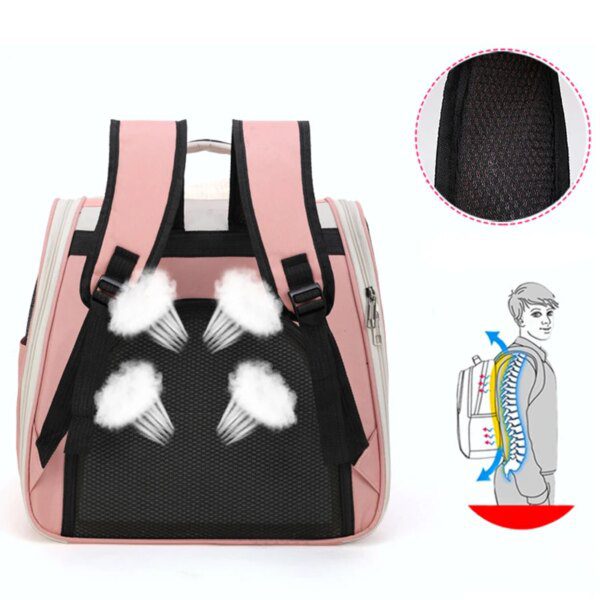 Sac de transport pour chat & chiot – Fourre-tout respirant transparent