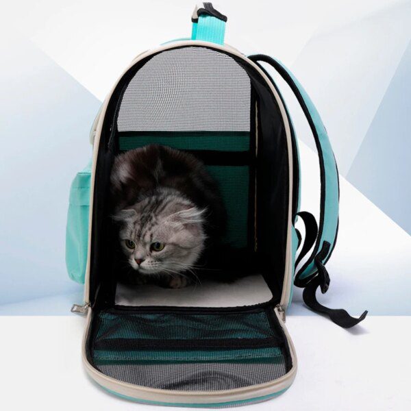 Sac de transport pour chat & chiot – Fourre-tout respirant transparent