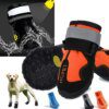 88595-cfde1e.jpg Bottes imperméables antidérapantes pour chien 🐾