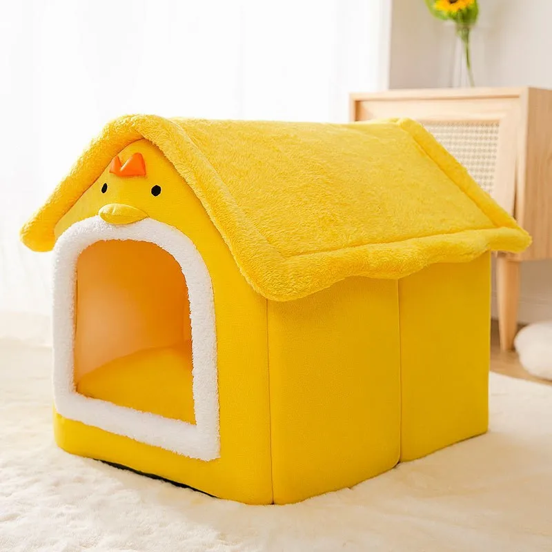 Yellow chick