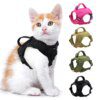 Harnais Chat Tactique Militaire en Nylon