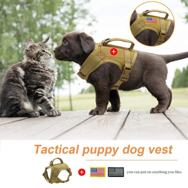 Harnais Chat Tactique Militaire en Nylon