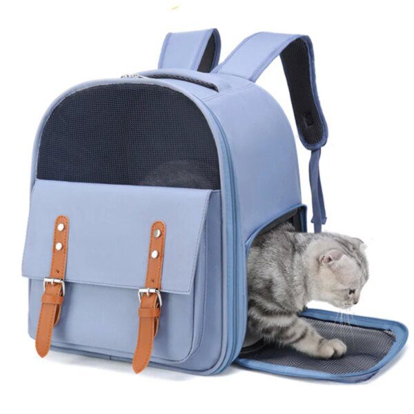 Sac à dos chat & petits chiens – Transport respirant et léger