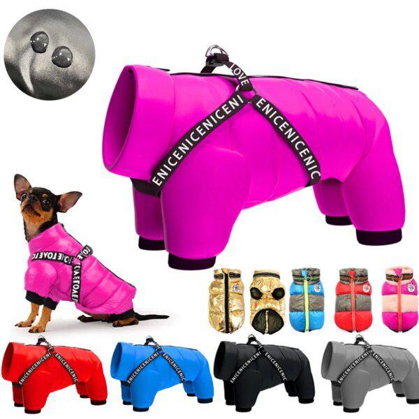 Gilet d’hiver en polaire douce pour chien & chat – Chaleur cocooning petits