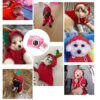 Manteau d’hiver à capuche en polaire motif fruit pour chien & chat