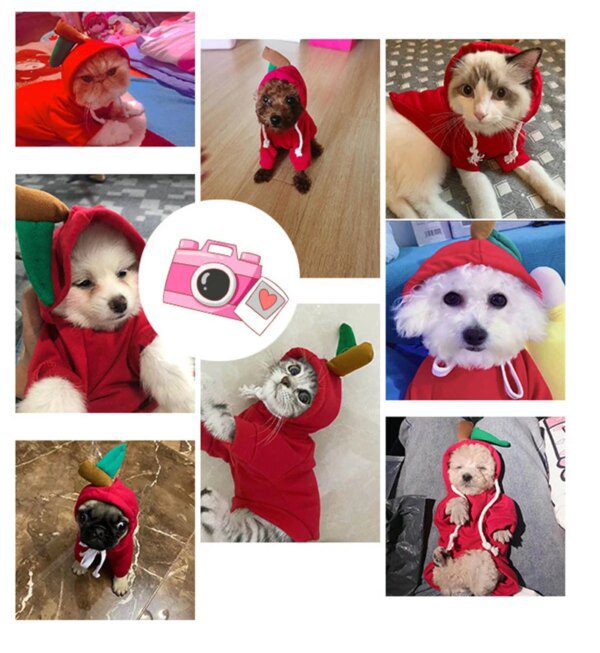 Manteau d’hiver à capuche en polaire motif fruit pour chien & chat