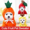 Manteau d’hiver à capuche en polaire motif fruit pour chien & chat